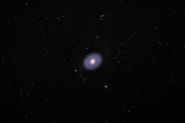 M 94 PXS PROCESSED